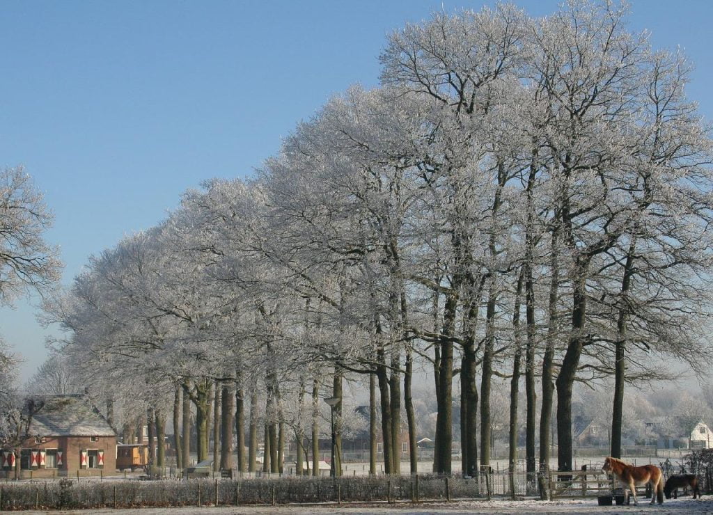 Wandelroutes in Soest